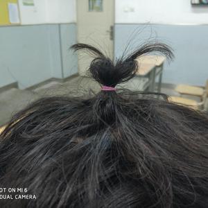 老熟女乱婬一区二区
